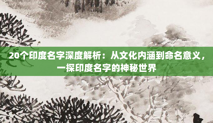 20个印度名字深度解析：从文化内涵到命名意义，一探印度名字的神秘世界