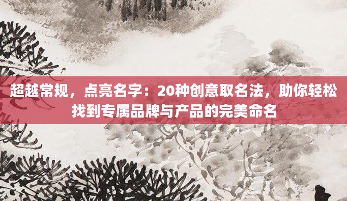 超越常规，点亮名字：20种创意取名法，助你轻松找到专属品牌与产品的完美命名