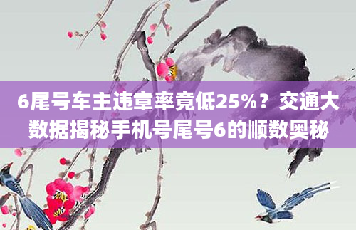 6尾号车主违章率竟低25%？交通大数据揭秘手机号尾号6的顺数奥秘