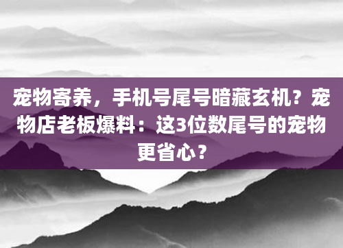 宠物寄养，手机号尾号暗藏玄机？宠物店老板爆料：这3位数尾号的宠物更省心？