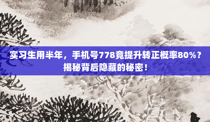 实习生用半年，手机号778竟提升转正概率80%？揭秘背后隐藏的秘密！