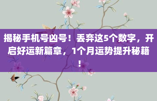 揭秘手机号凶号！丢弃这5个数字，开启好运新篇章，1个月运势提升秘籍！