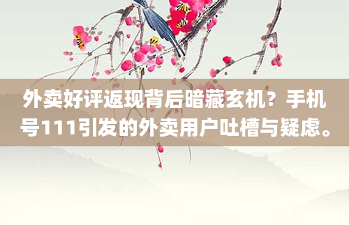 外卖好评返现背后暗藏玄机？手机号111引发的外卖用户吐槽与疑虑。