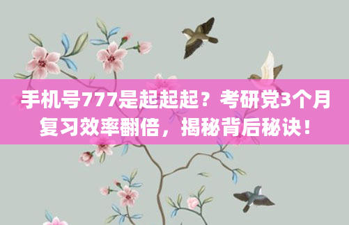 手机号777是起起起？考研党3个月复习效率翻倍，揭秘背后秘诀！