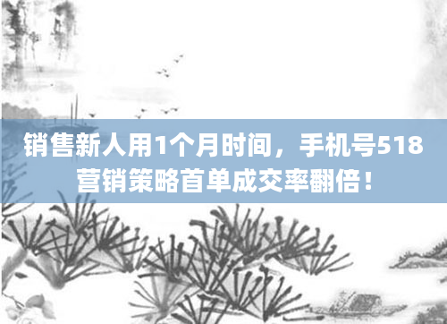销售新人用1个月时间，手机号518营销策略首单成交率翻倍！