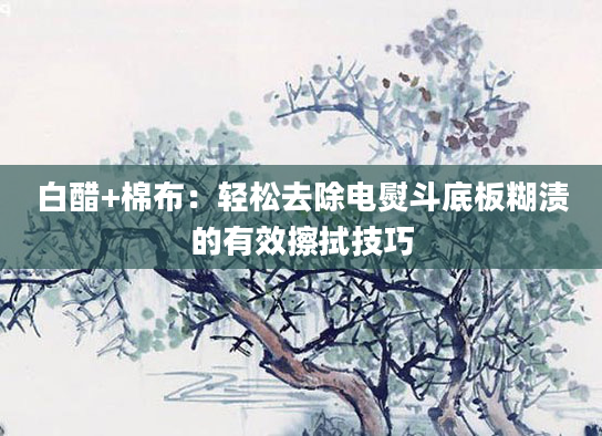 白醋+棉布：轻松去除电熨斗底板糊渍的有效擦拭技巧
