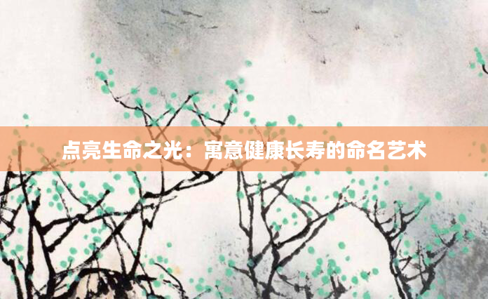 点亮生命之光：寓意健康长寿的命名艺术