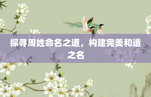 探寻周姓命名之道，构建完美和谐之名