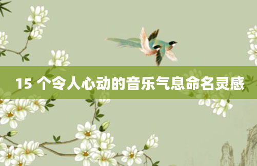 15 个令人心动的音乐气息命名灵感