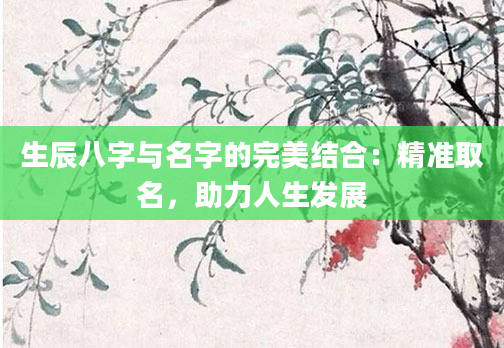 生辰八字与名字的完美结合：精准取名，助力人生发展
