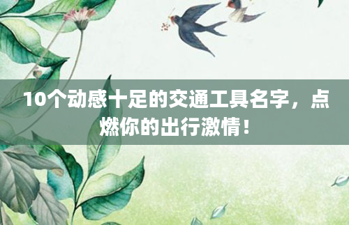 10个动感十足的交通工具名字，点燃你的出行激情！