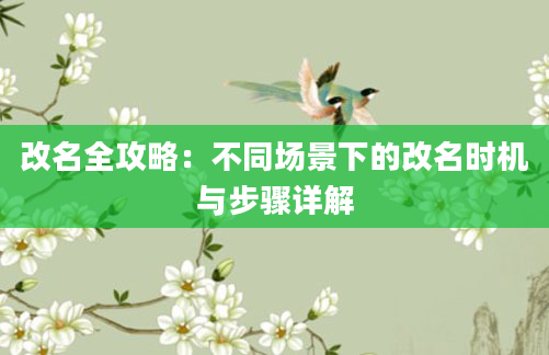 改名全攻略：不同场景下的改名时机与步骤详解