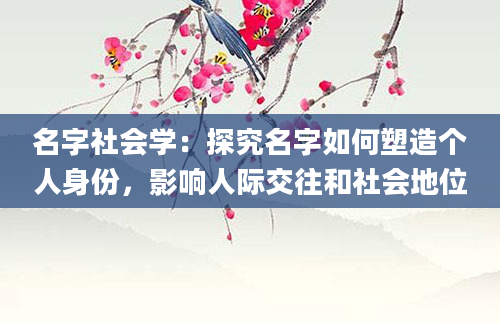 名字社会学：探究名字如何塑造个人身份，影响人际交往和社会地位