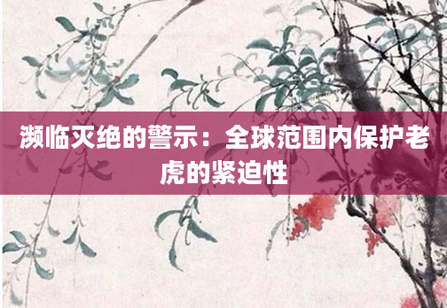 濒临灭绝的警示：全球范围内保护老虎的紧迫性