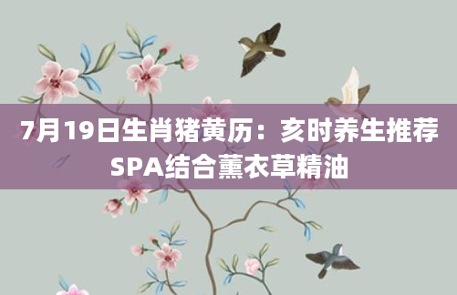 7月19日生肖猪黄历：亥时养生推荐SPA结合薰衣草精油