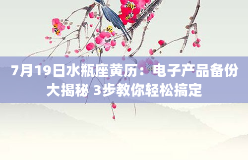 7月19日水瓶座黄历：电子产品备份大揭秘 3步教你轻松搞定