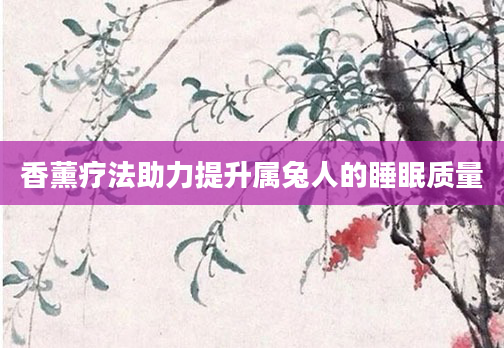 香薰疗法助力提升属兔人的睡眠质量