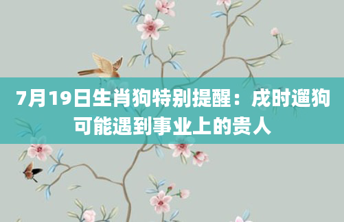 7月19日生肖狗特别提醒：戌时遛狗可能遇到事业上的贵人