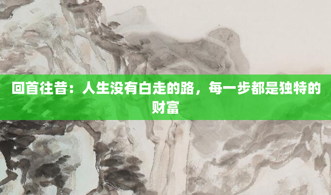 回首往昔：人生没有白走的路，每一步都是独特的财富