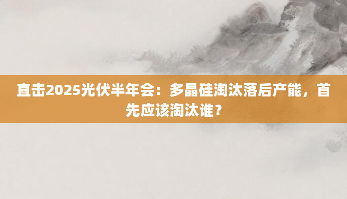 直击2025光伏半年会：多晶硅淘汰落后产能，首先应该淘汰谁？