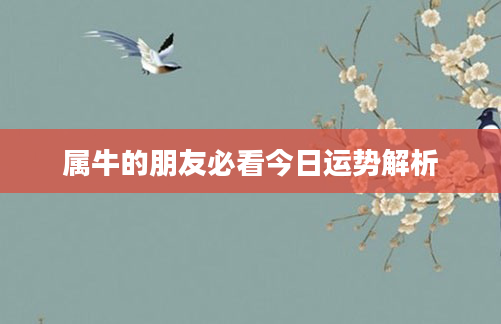 属牛的朋友必看今日运势解析