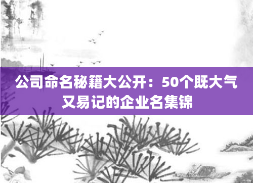 公司命名秘籍大公开：50个既大气又易记的企业名集锦
