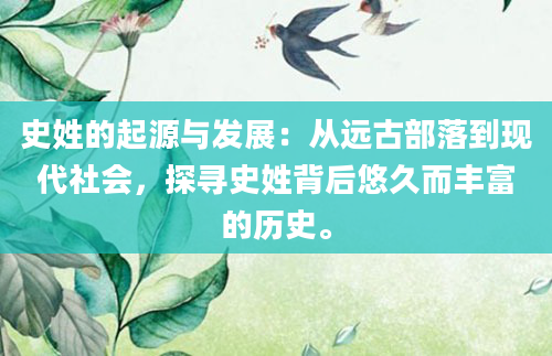 史姓的起源与发展：从远古部落到现代社会，探寻史姓背后悠久而丰富的历史。
