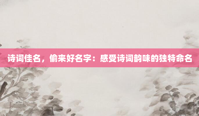 诗词佳名，偷来好名字：感受诗词韵味的独特命名