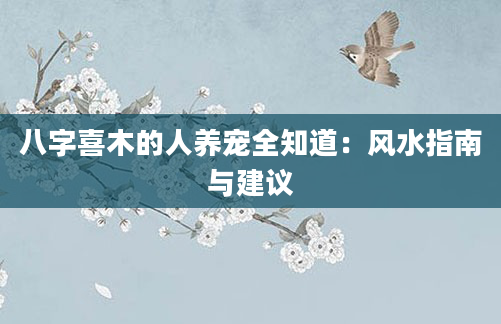 八字喜木的人养宠全知道：风水指南与建议